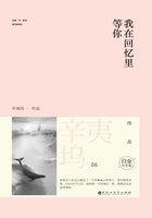 我在回忆里等你免费阅读 我在回忆里等你免费阅读